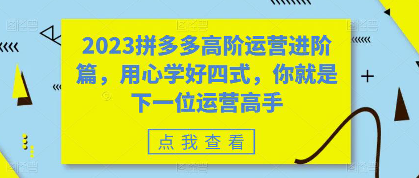 2023拼多多高阶运营进阶篇，用心学好四式，你就是下一位运营高手-秦汉日记