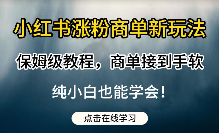 小红书商单新玩法揭秘！保姆级教程，轻松涨粉赚零花【附带教程】-秦汉日记