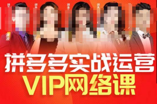 拼多多VIP学习指南，高阶直通车和店铺实操玩法，实战选款全解析-秦汉日记