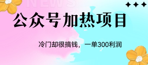 公众号加热项目揭秘：冷门玩法每单可获利润300+-秦汉日记