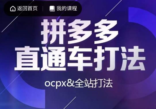 拼多多直通车实战课程，掌握OCPX和全站推广的打法-秦汉日记