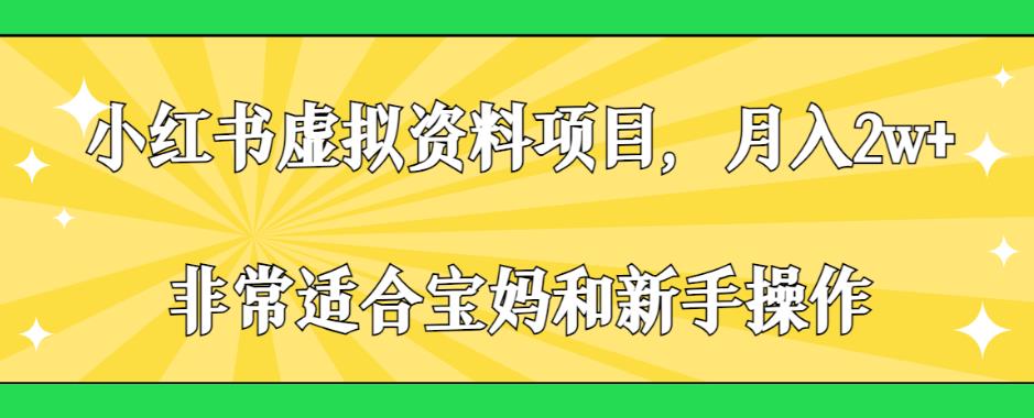 小红书虚拟资料项目，月入2W！适合宝妈和新手操作【揭秘】-秦汉日记