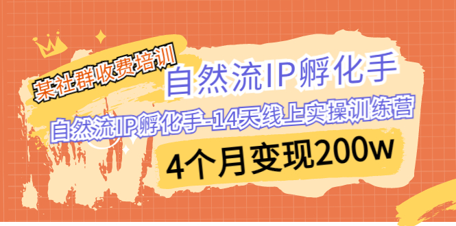 如何通过自然流量IP孵化-14天线上实操训练营实现4个月变现200w-秦汉日记