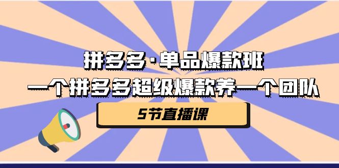 拼多多·单品爆款班：打破传统，集结力量（5节直播课）-秦汉日记