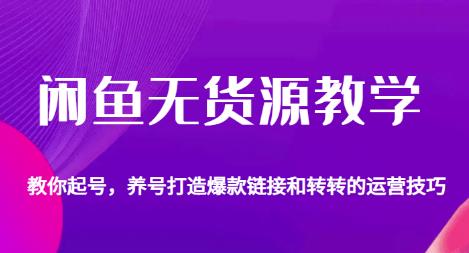 闲鱼无货源教学，教你起号，养号打造爆款链接以及转转的运营技巧-秦汉日记