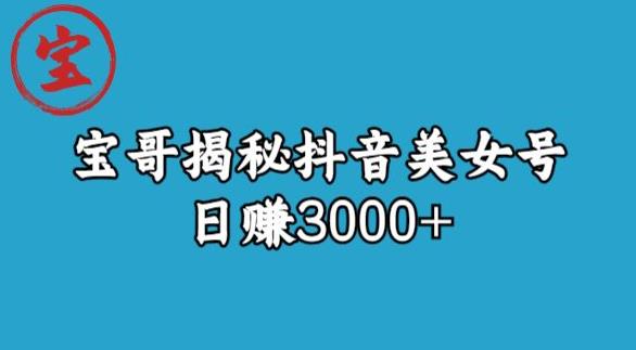 宝哥揭秘抖音美女号玩法，日赚3000+【揭秘】-秦汉日记