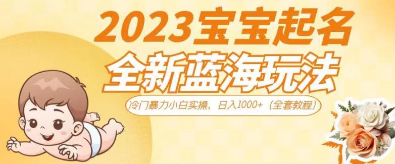 2023宝宝起名全新蓝海玩法，冷门暴力小白实操，日入1000+-秦汉日记