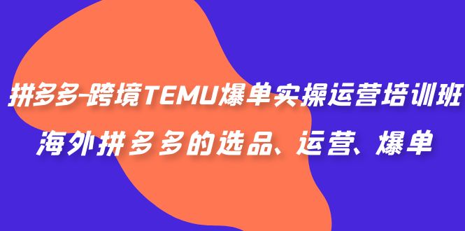 拼多多跨境TEMU爆单实操运营培训班，助力选品、运营、爆单-秦汉日记