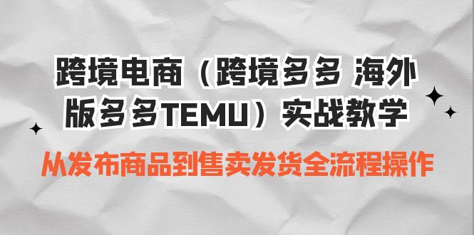 跨境电商平台多多进宝TEMU全套实战教程-秦汉日记