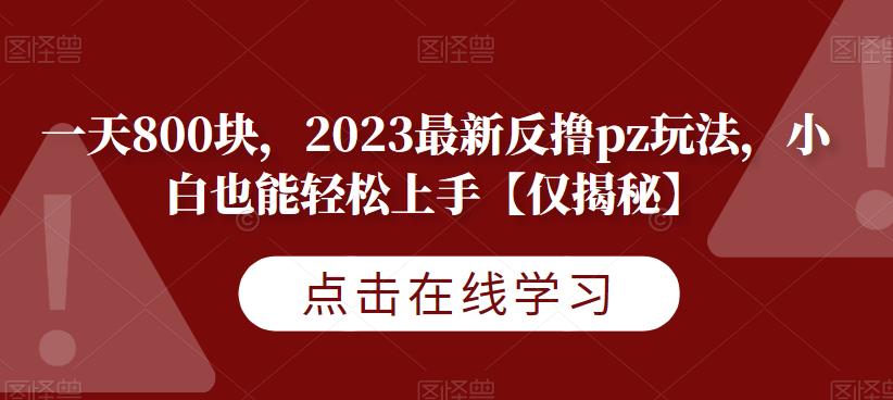 2023最新反撸PZ玩法揭秘，一天轻松赚800块！-秦汉日记