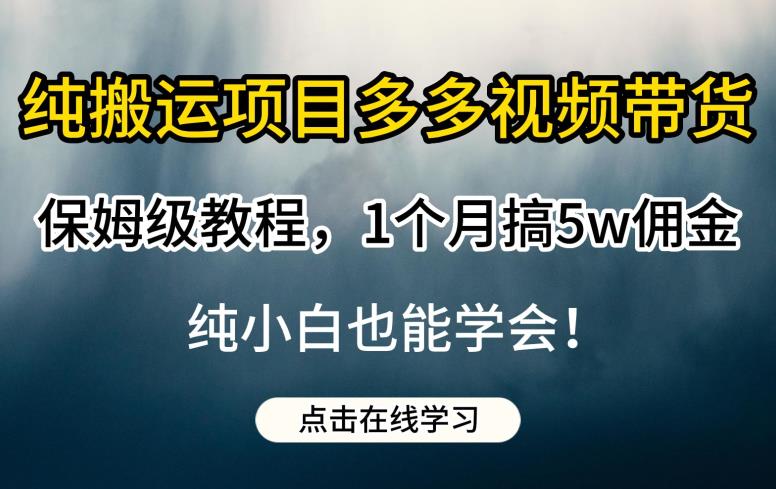 纯搬运视频带货保姆级教程：学会如何1个月搞5W佣金，轻松赚钱！-秦汉日记