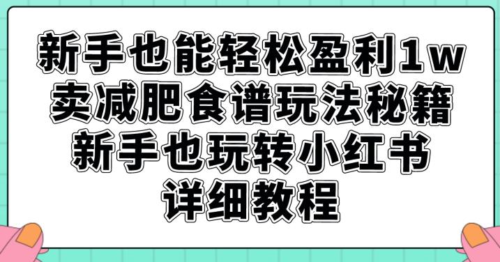 小白也能轻松盈利1W，卖减肥食谱秘籍，新手玩转小红书详细教程-秦汉日记