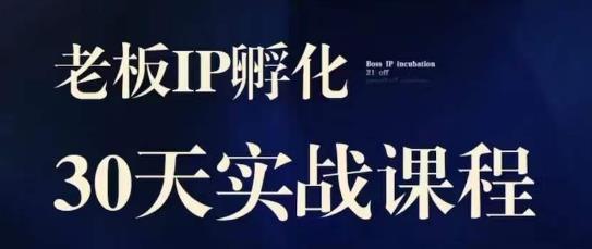 诸葛·2023老板IP实战课：掌握实体同城引流获客，必听的IP孵化策略-秦汉日记