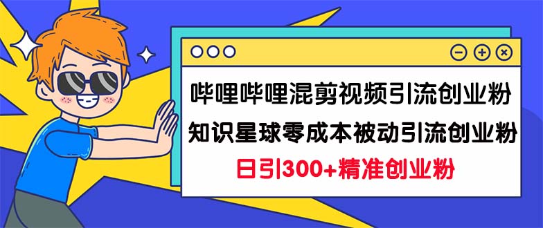 哔哩哔哩混剪视频引流，知识星球零成本被动引流创业粉一天300-秦汉日记