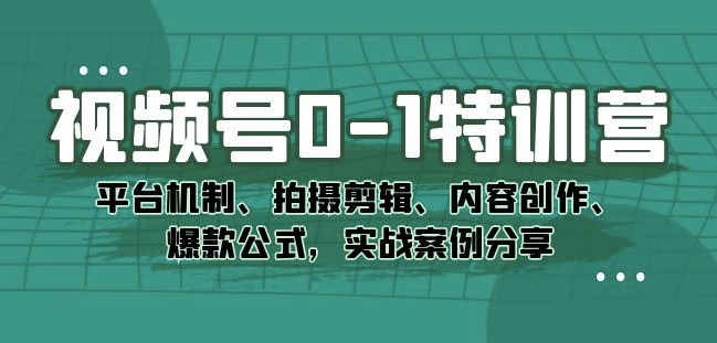 视频号0-1特训营的实战技巧：平台机制、拍摄剪辑、内容创作、爆款-秦汉日记