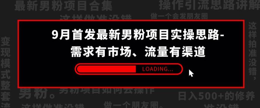 9月首发最新男粉项目实操思路-需求有市场，流量有渠道【揭秘】-秦汉日记