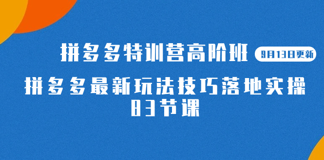 2023拼多多特训营高阶班，带你玩转拼多多技巧！赶快来学习吧！-秦汉日记