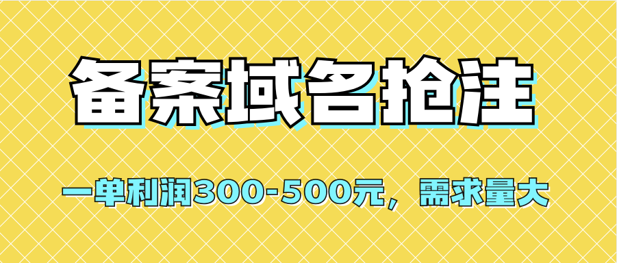 备案域名抢注,盈利可触手可及，需求量大，利润可达300-500元-秦汉日记