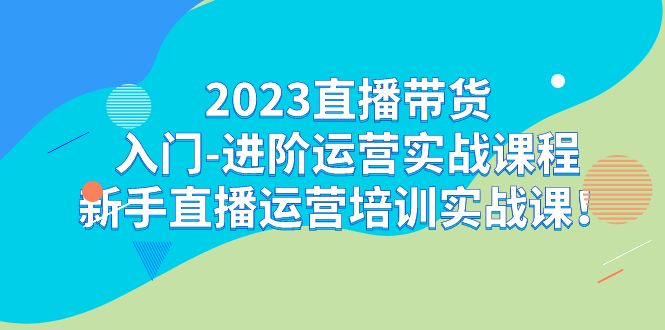 2023直播带货新手进阶实战课程：轻松学习直播运营技巧！-秦汉日记