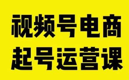 视频号电商起号运营课：教新人如何自然流起号，助力商家0-1突破-秦汉日记