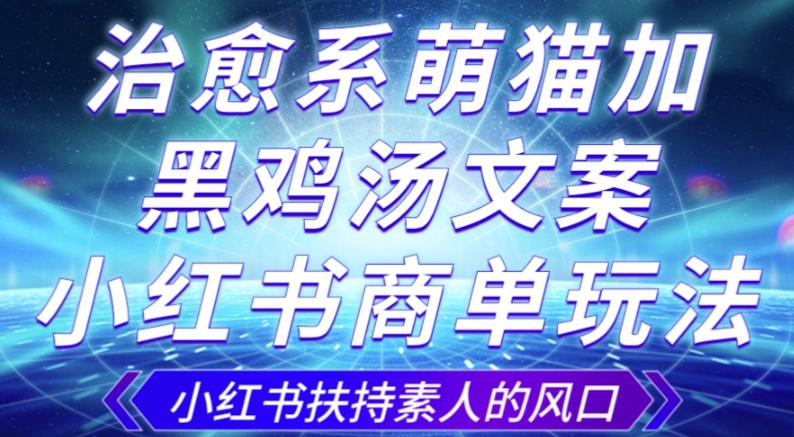 治愈系萌猫加+黑鸡汤文案，小红书商单玩法，3~10天涨到1000粉-秦汉日记