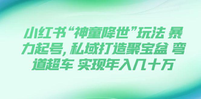 小红书“神童降世”玩法暴力起号,私域打造聚宝盆弯道超车实现入万-秦汉日记