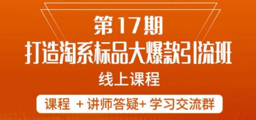 南掌柜-第17期打造淘系标品大爆款，5天线上课-秦汉日记