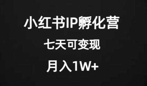 小红书IP孵化营项目，超级大蓝海，七天即可开始变现，稳定月入1W+-秦汉日记