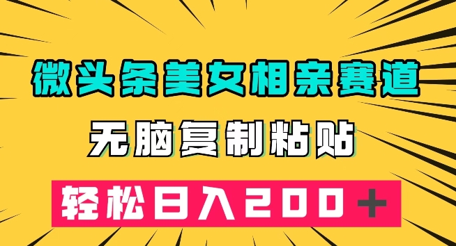 微头条冷门美女相亲赛道，无脑复制粘贴，轻松日入200＋【揭秘】-秦汉日记