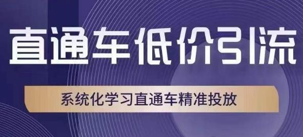 直通车低价引流教程，系统化学习直通车精准投放-秦汉日记