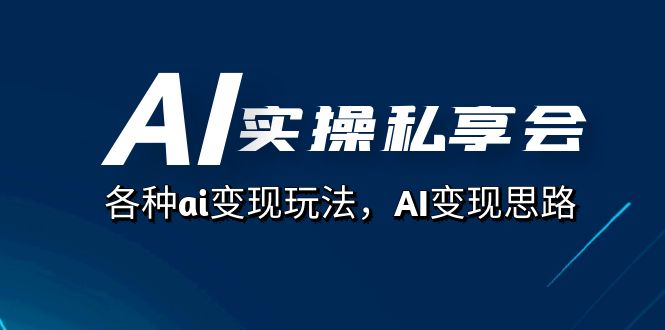 AI实操私享会，各种ai变现玩法，AI变现思路（67节课）-秦汉日记