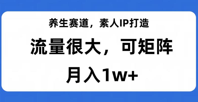 养生赛道IP打造，流量巨大，教你月入1W+【完整揭秘】-秦汉日记