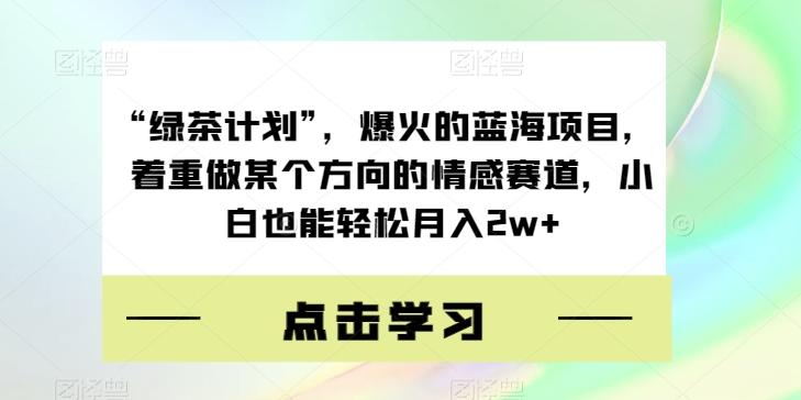 揭秘“绿茶计划”：打开爆火的蓝海项目，让小白也能轻松月入2W+-秦汉日记