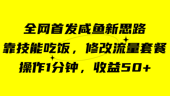 咸鱼冷门新玩法 靠“技能吃饭” 修改流量套餐 操作1分钟 收益50+-秦汉日记