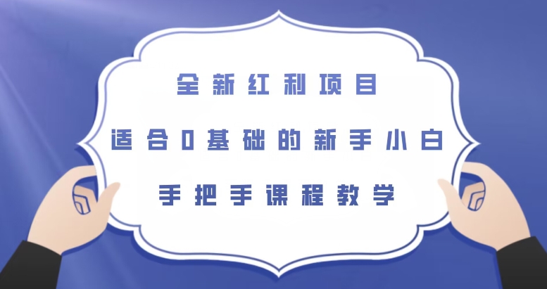 全新红利项目，零基础新手也能轻松上手【揭秘】-秦汉日记