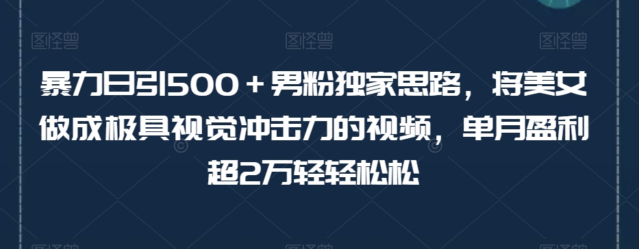 男粉独家思路：极具视觉冲击力美女视频变现，单月轻松盈利2万+-秦汉日记