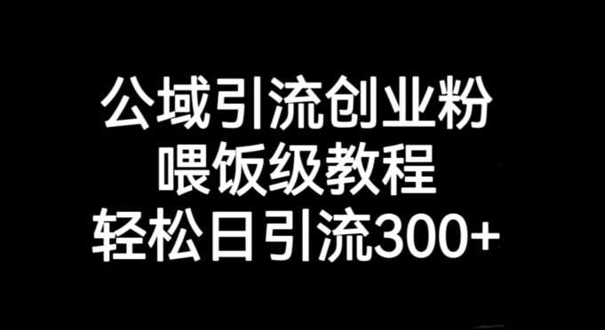 公域引流创业粉，喂饭级教程，轻松赚钱，日引流300+【引流技巧】-秦汉日记