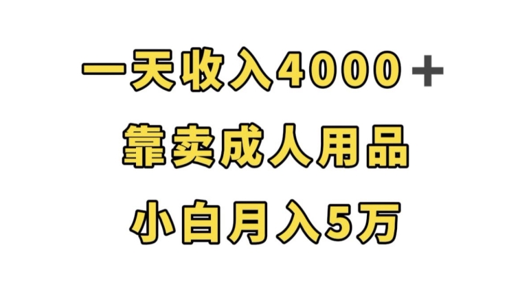 轻松月入5万，靠卖成人用品，一天收入4000+-秦汉日记