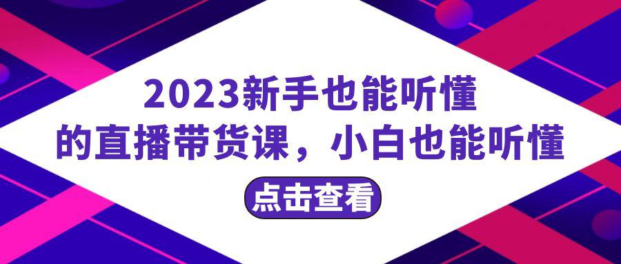 2023新手必学直播带货课，从流量到话术全面解析，小白能轻松掌握-秦汉日记