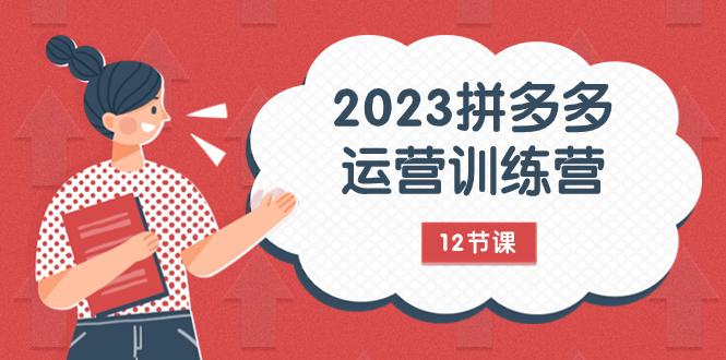 2023年拼多多运营攻略：解锁流量秘密，全方位付费+免费流量实战-秦汉日记