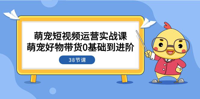 萌宠短视频攻略：从0基础到进阶，带你探索带货奥秘（38节课）-秦汉日记