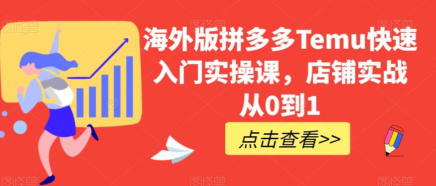 海外版拼多多TEMU快速入门实操课，店铺实战从0到1-秦汉日记