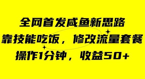 咸鱼冷门新玩法，靠技能吃饭，修改流量套餐，操作1分钟，收益50-秦汉日记