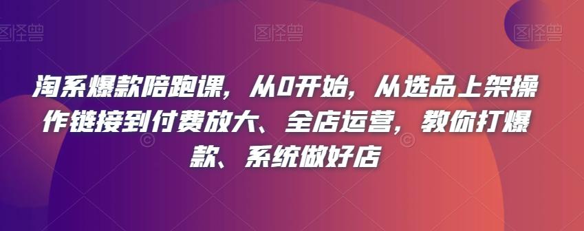 从选品到全店运营，淘系爆款陪跑课教你系统打造爆款店铺-秦汉日记