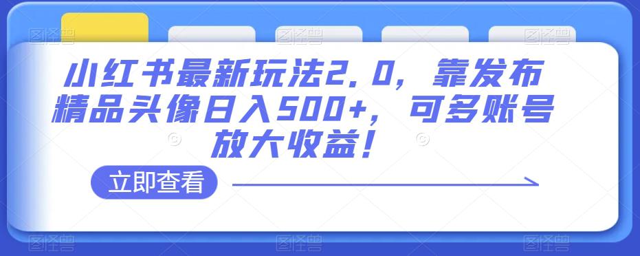 小红书最新玩法2.0：发布精品头像日入500+，多账号放大收益！-秦汉日记