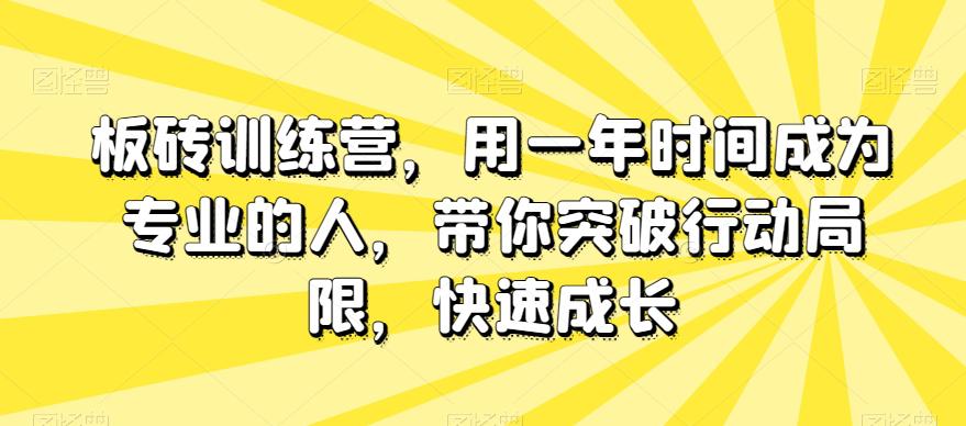 板砖训练营，一年时间成为专业的人，带你突破行动局限，快速成长-秦汉日记