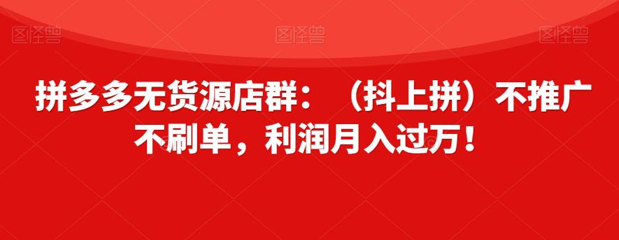 拼多多无货源店群：轻松月入过万，零推广零刷单！-秦汉日记