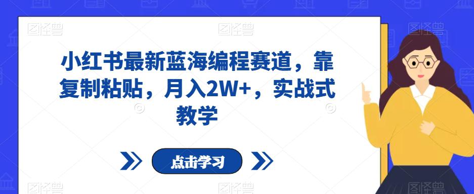 小红书最新蓝海编程赛道，靠复制粘贴，月入2W+，实战式教学-秦汉日记