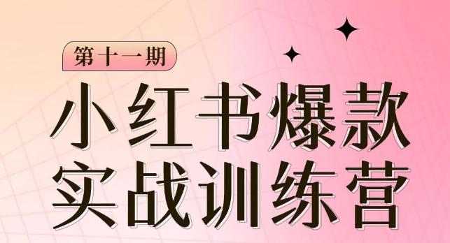 从零到一，掌握小红书爆款秘籍，从定位到起号到变现让你轻松赚钱-秦汉日记