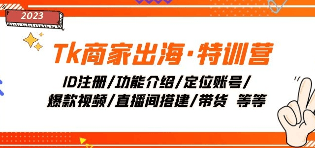 TK商家出海特训营：ID注册/功能介绍定位账号/爆款视频/直播间带货-秦汉日记